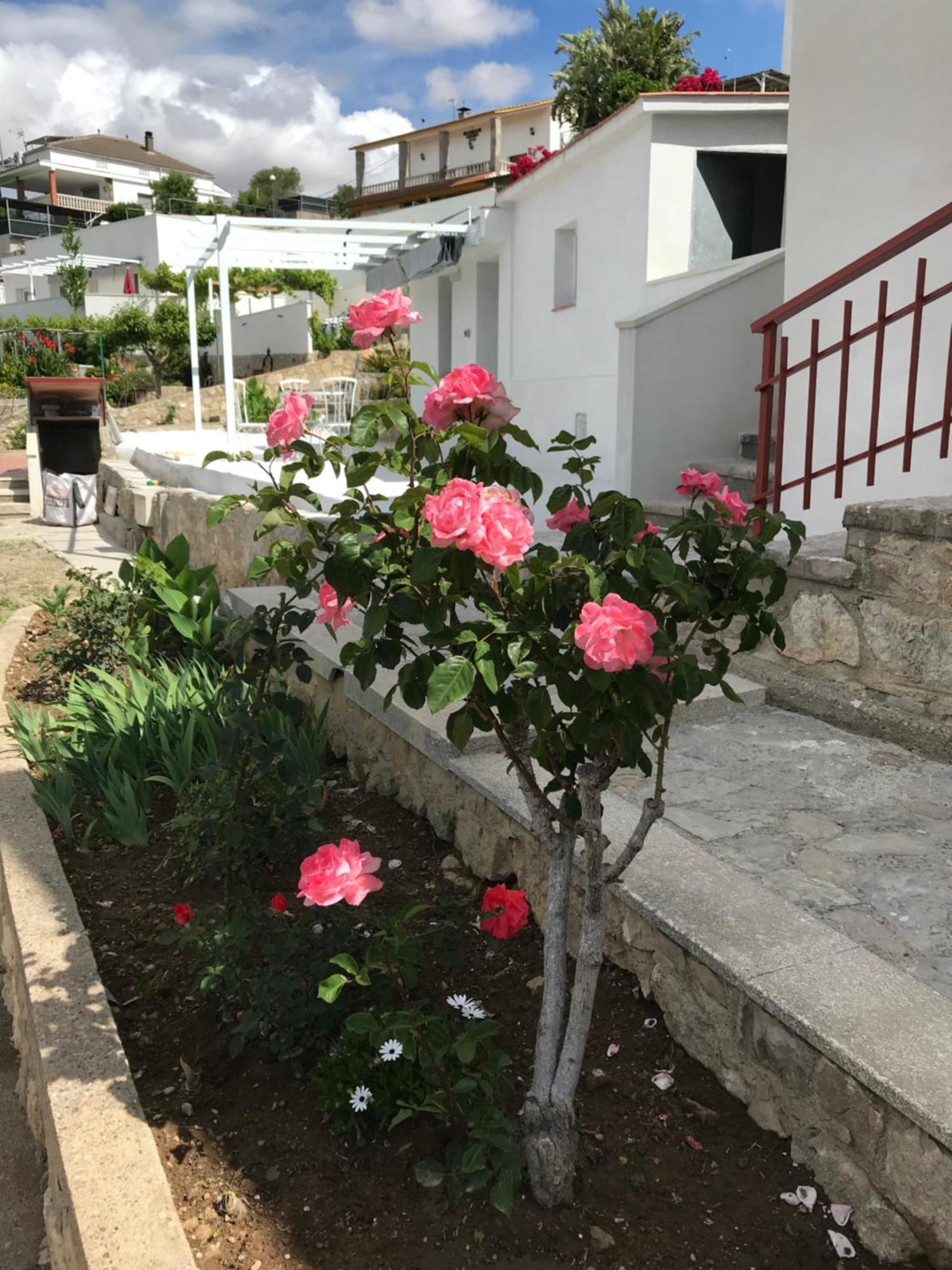 Campagne Luxueuse De Sitges Villa Olivella Luaran gambar